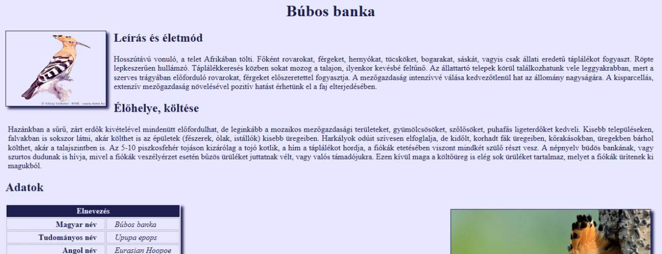 Búbos banka feladat