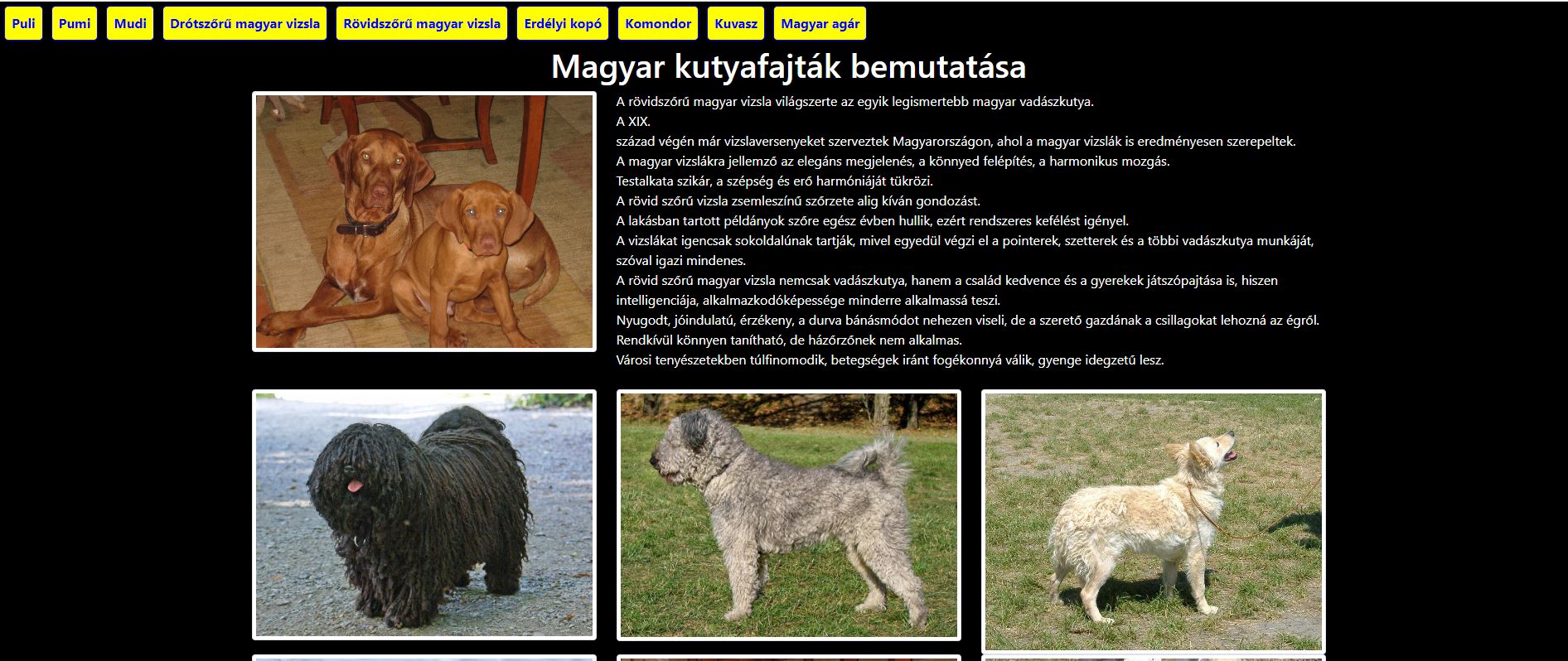 Magyar kutyafajták bemutatása
